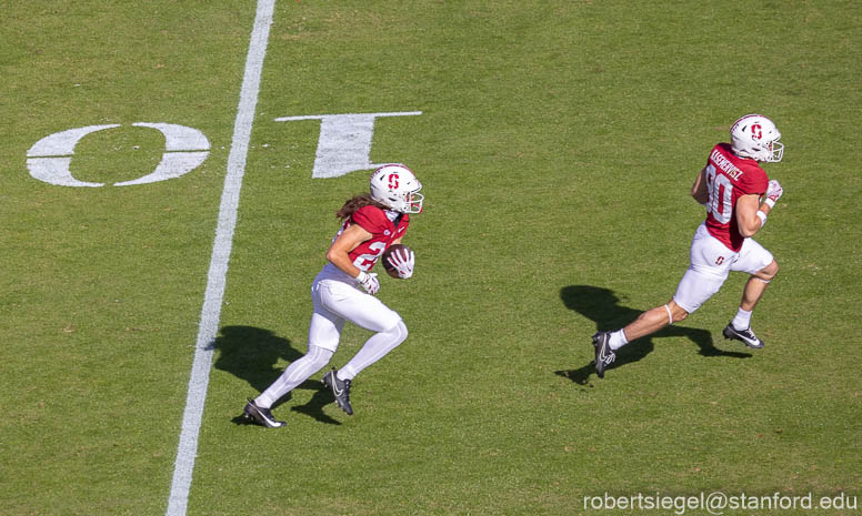 stanford football 2024